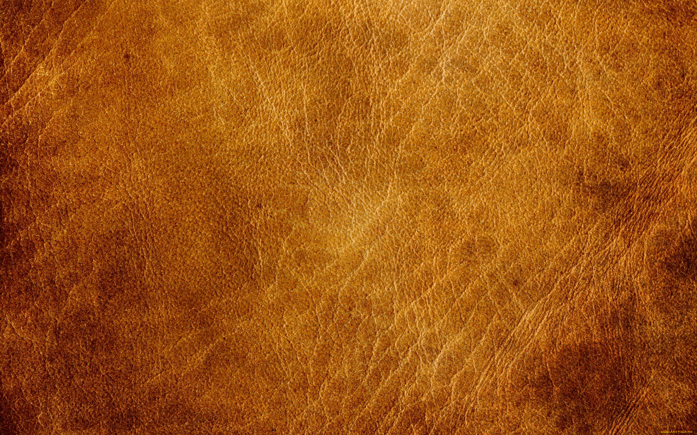 , , , texture, skin, leather